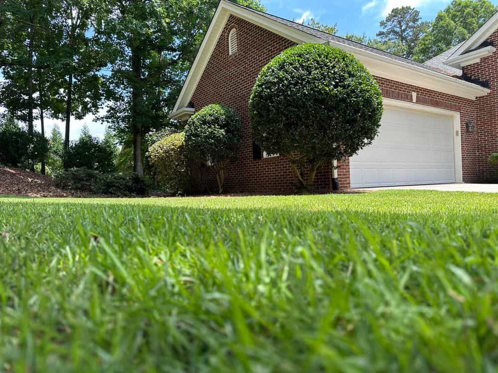 Hero image for Oconee Roots Lawn Care